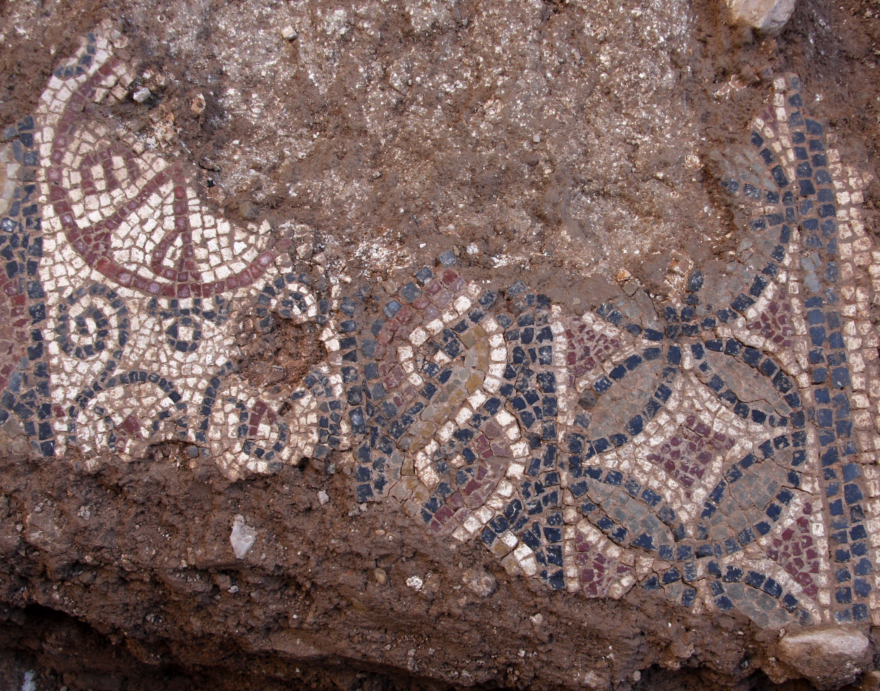 Detall d'un mosaic de la troballa de Prats de Rei